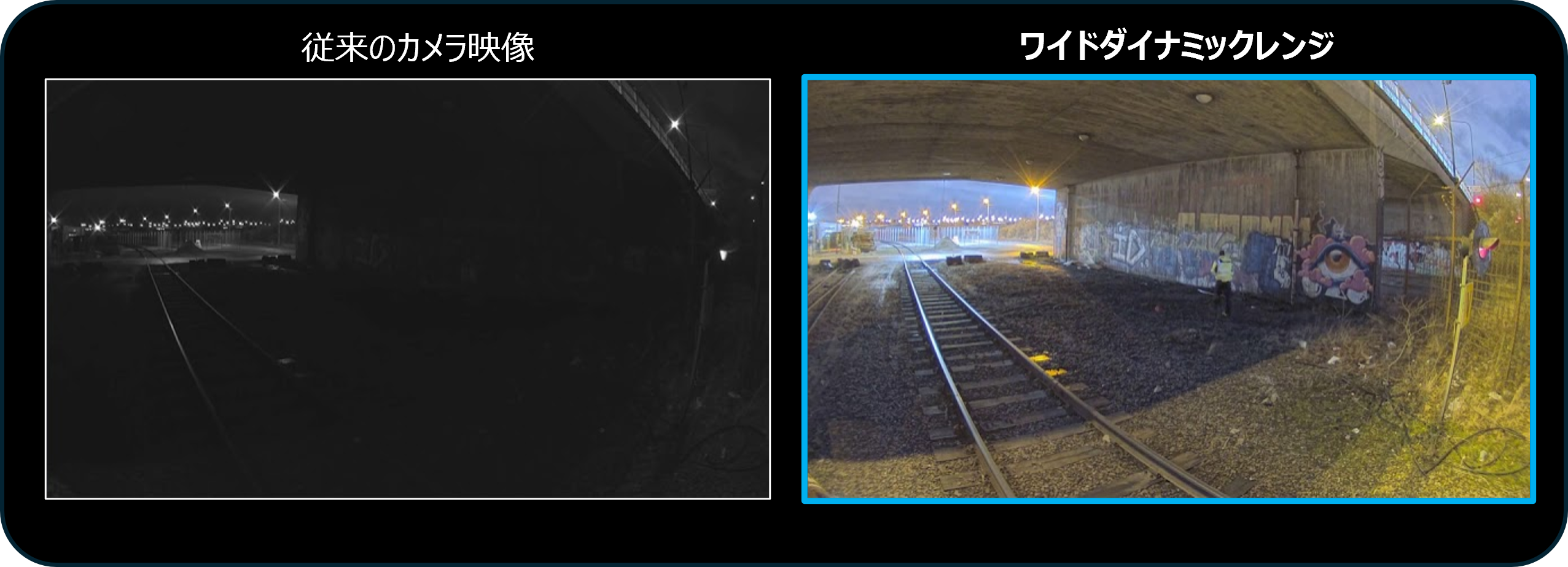 AI搭載カメラシステム_比較写真.png
